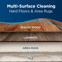 Crosswave Multi-Surface Cleaning